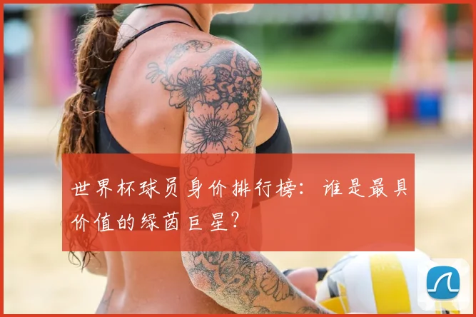 世界杯球员身价排行榜:谁是最具价值的绿茵巨星?