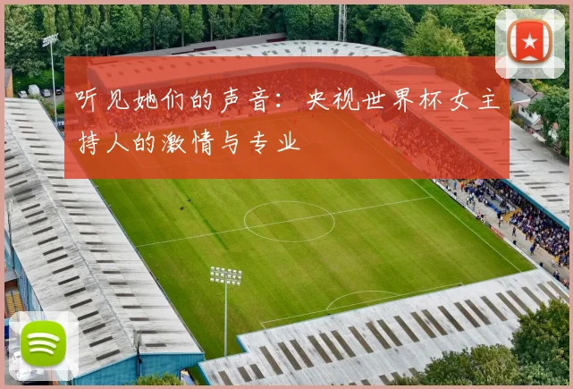 听见她们的声音:央视世界杯女主持人的激情与专业