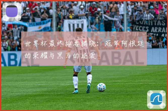 世界杯最终排名揭晓：冠军阿根廷的荣耀与黑马的逆袭