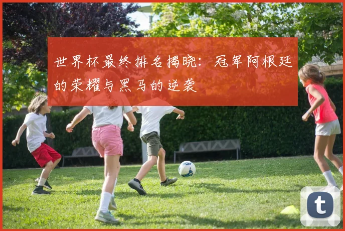 世界杯最终排名揭晓：冠军阿根廷的荣耀与黑马的逆袭