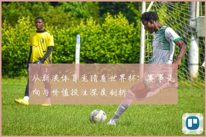 从新浪体育竞猜看世界杯:赛事走向与价值投注深度剖析