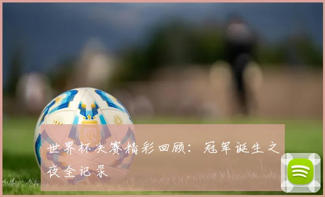 世界杯决赛精彩回顾:冠军诞生之夜全记录