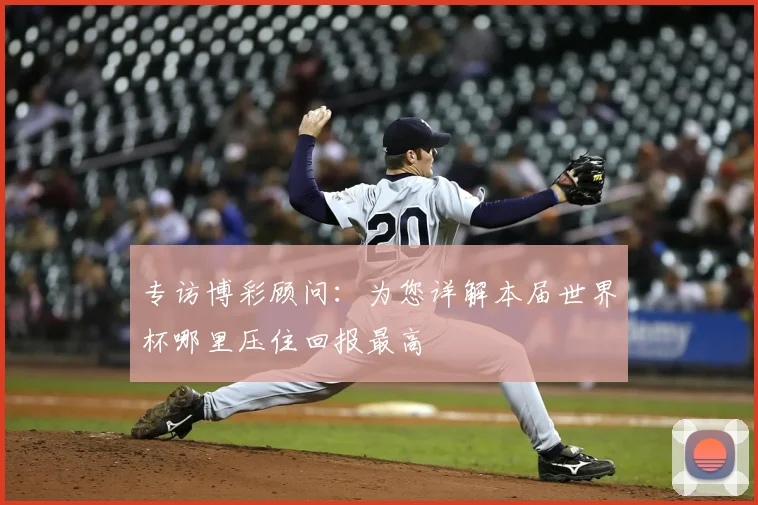 专访博彩顾问：为您详解本届世界杯哪里压住回报最高
